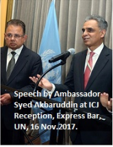 India @ UN - ICG 2017
