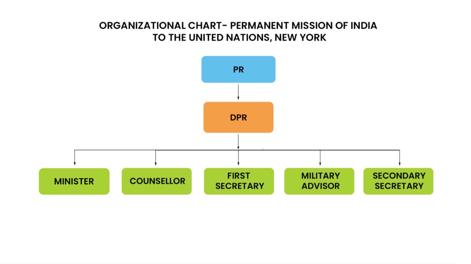 Organizational Structure